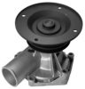 CITRO 5403199Z Water Pump
